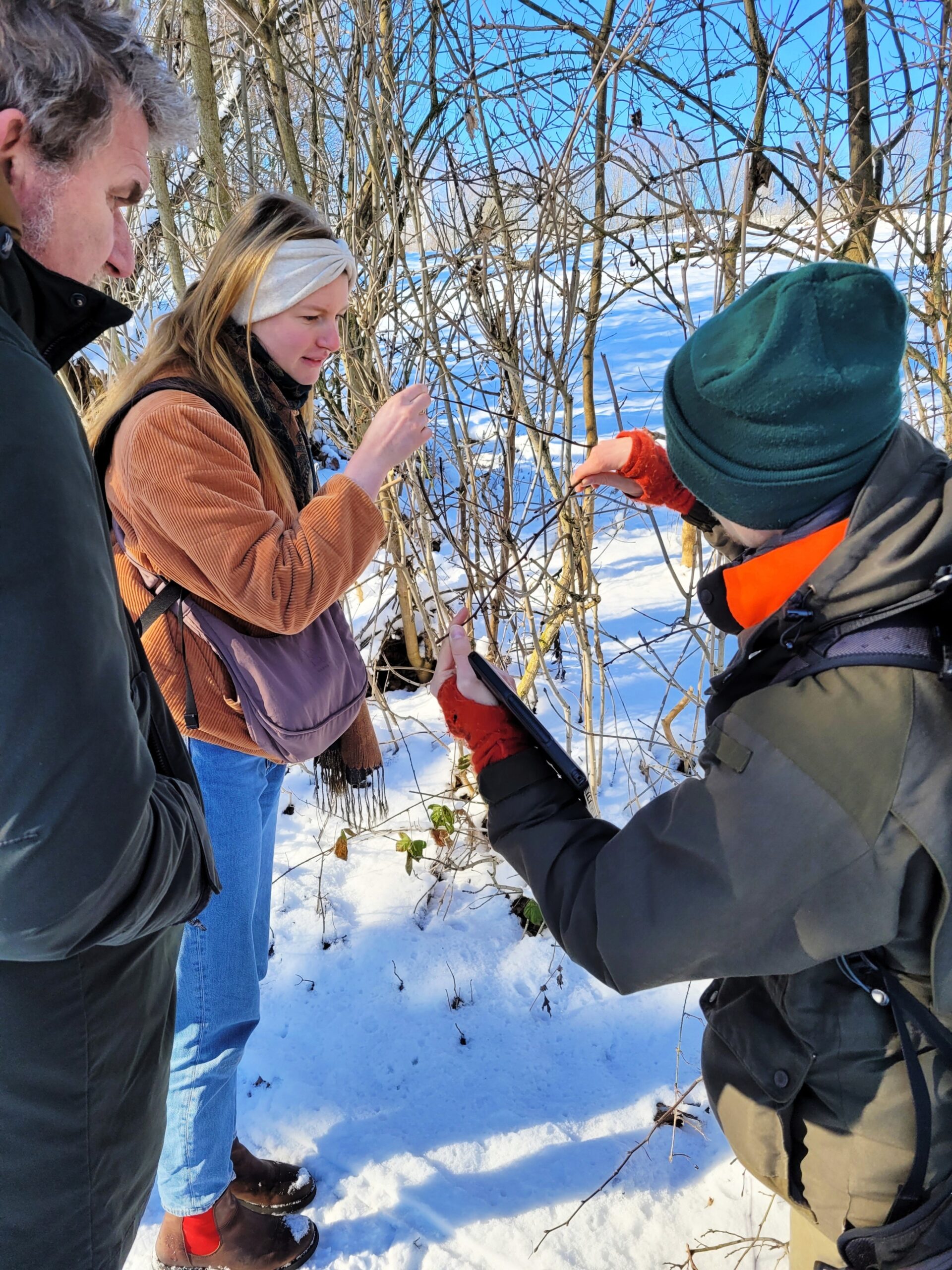 2025-02-19_OZUWA_Gehölze(C)UlrikeKnoll_29_b
