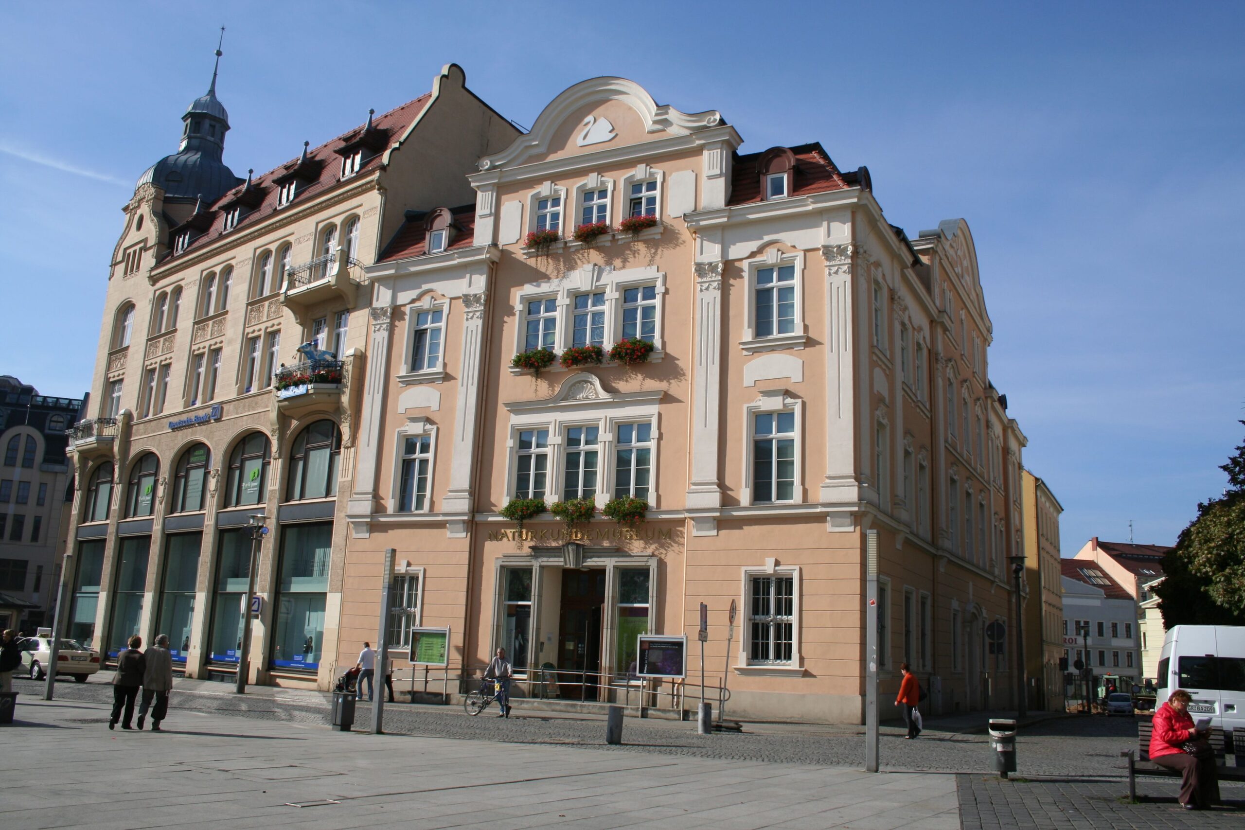 Familienfest im Senckenberg Museum für Naturkunde Görlitz
