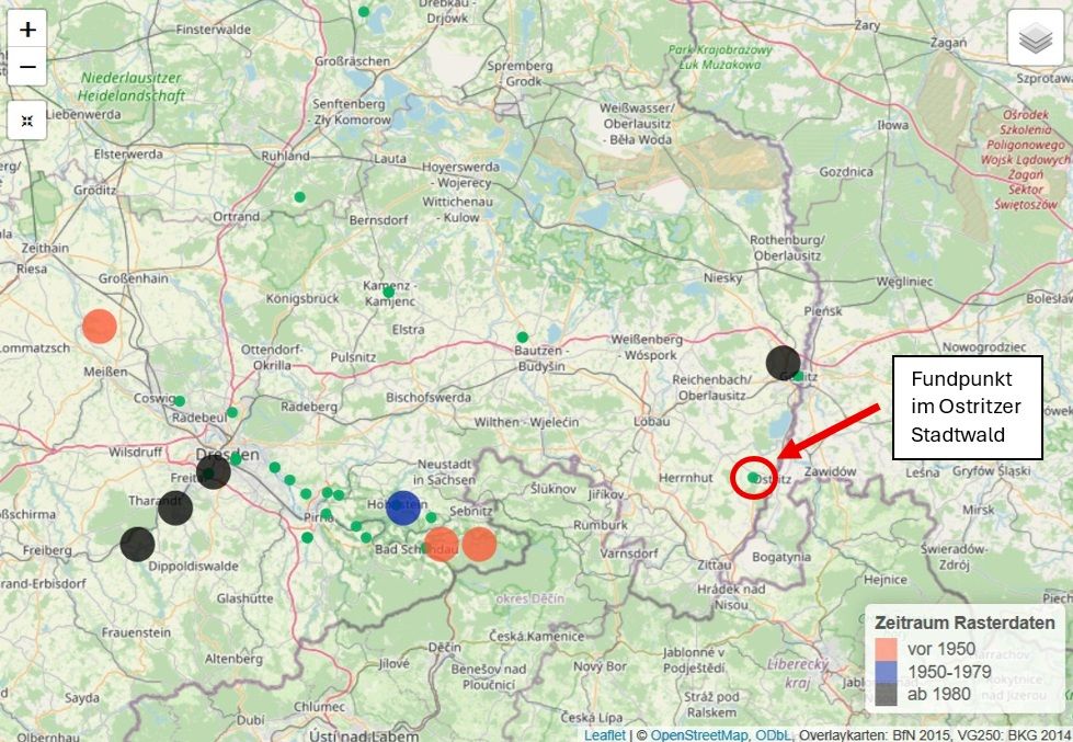 Abb.3_Karte_Ostsachsen