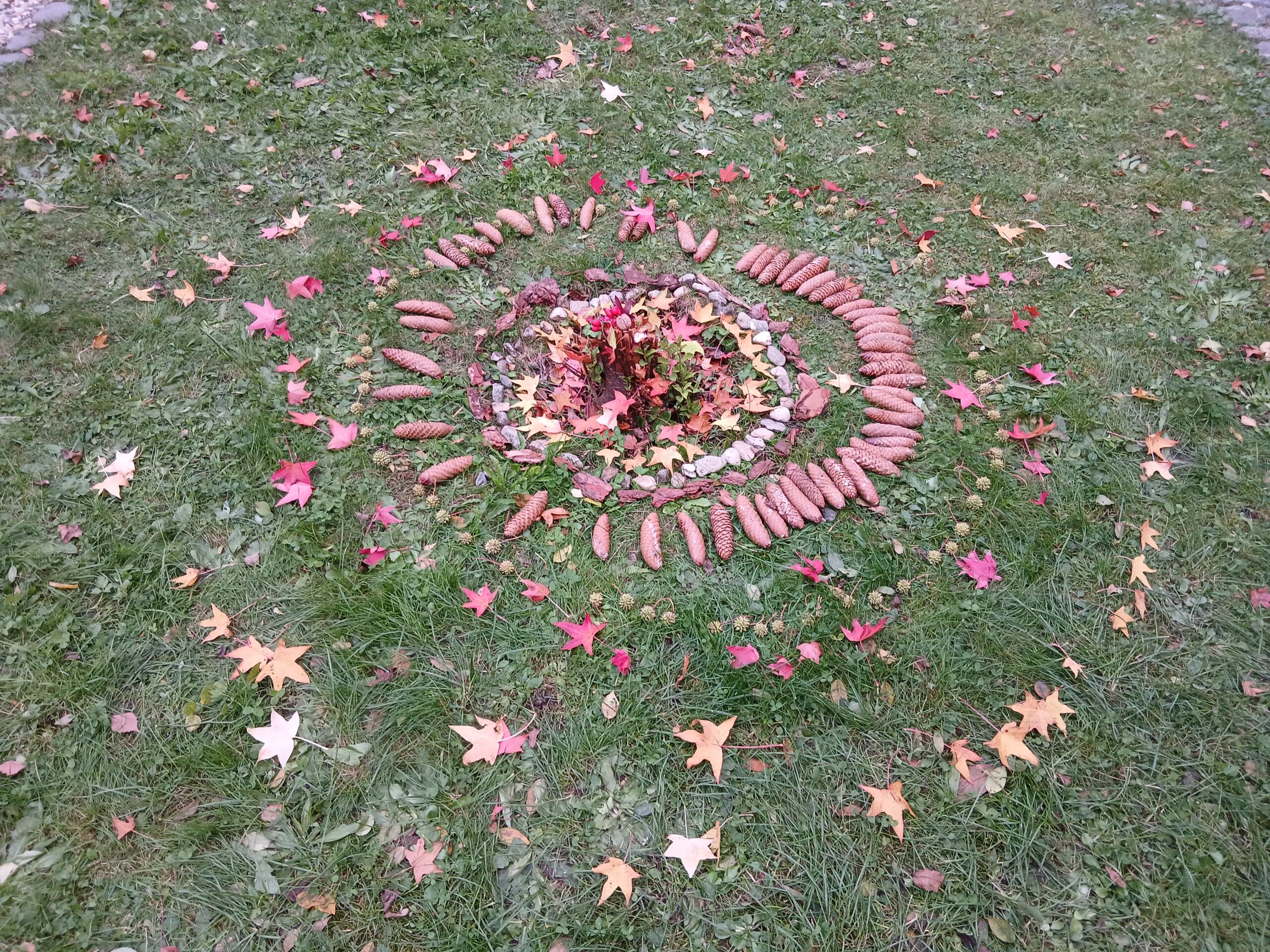 küsntlerische Auseinandersetzung nach Waldspaziergang