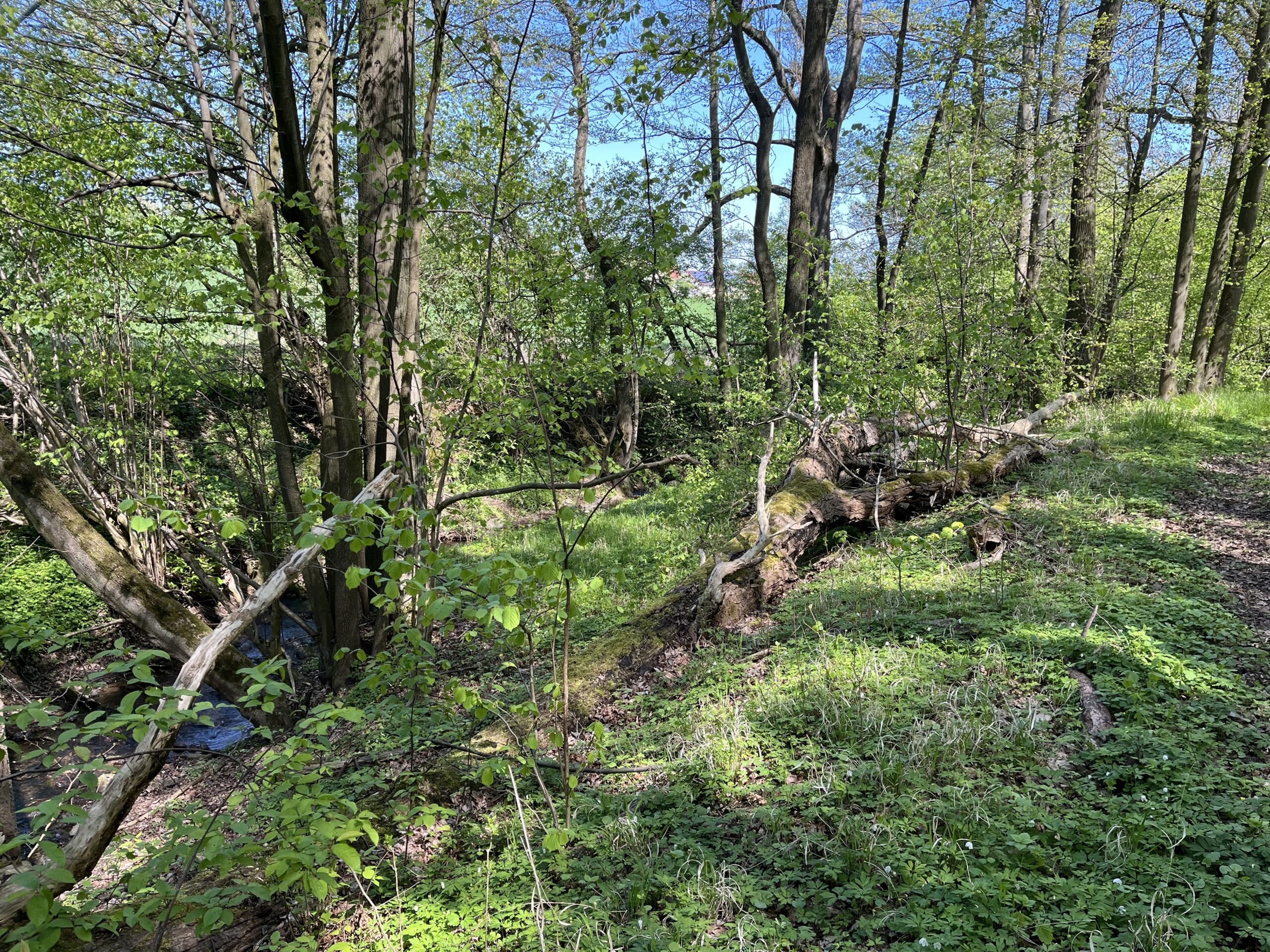 Hybride Fachtagung im IBZ